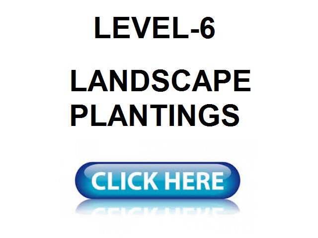 Landscape Plantings